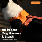 ReadyWalk Built-In Leash Dog Harness