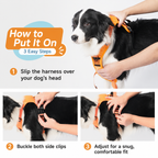 ReadyWalk Built-In Leash Dog Harness