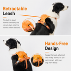ReadyWalk Built-In Leash Dog Harness
