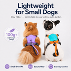 ReadyWalk Built-In Leash Dog Harness