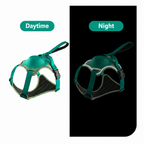 ReadyWalk Built-In Leash Dog Harness