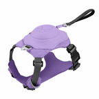 ReadyWalk Built-In Leash Dog Harness