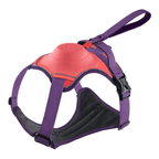 ReadyWalk Built-In Leash Dog Harness