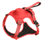 ReadyWalk Built-In Leash Dog Harness