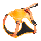 ReadyWalk Built-In Leash Dog Harness